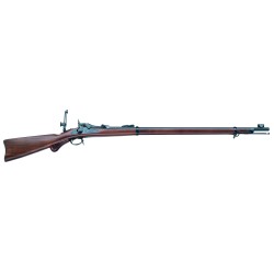 SPRINGFIELD TRAPDOOR LONG RANGE 45/70