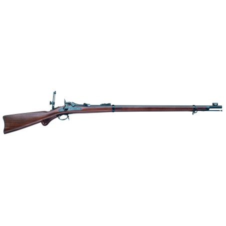 SPRINGFIELD TRAPDOOR LONG RANGE 45/70