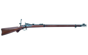 SPRINGFIELD TRAPDOOR LONG RANGE 45/70