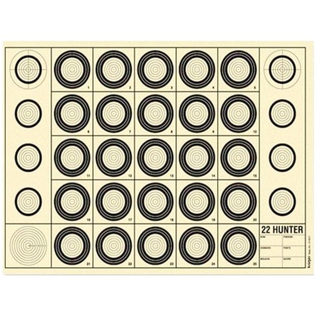 100 CIBLES BENCHREST 22 HUNTER 42x29.7cm